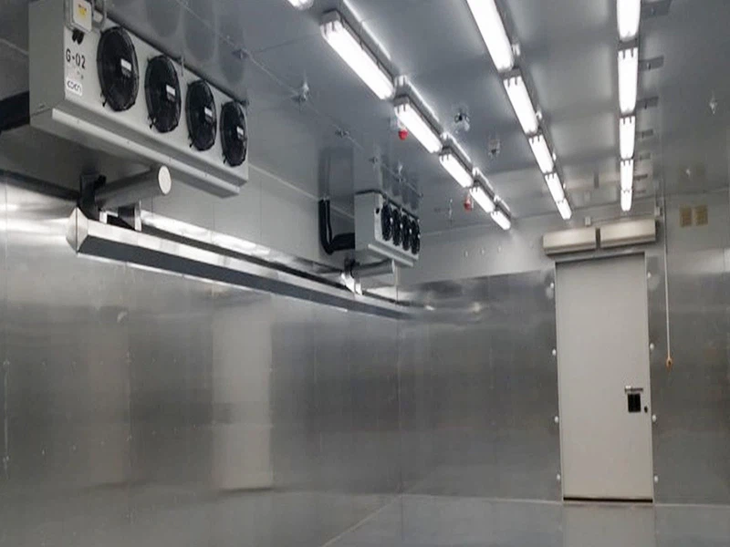 انبار سرد منجمد سریع